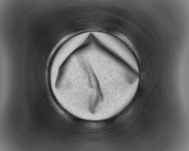 X0000086110947200704132206