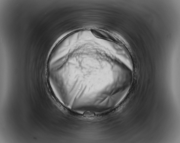 X0000086110948200704132206