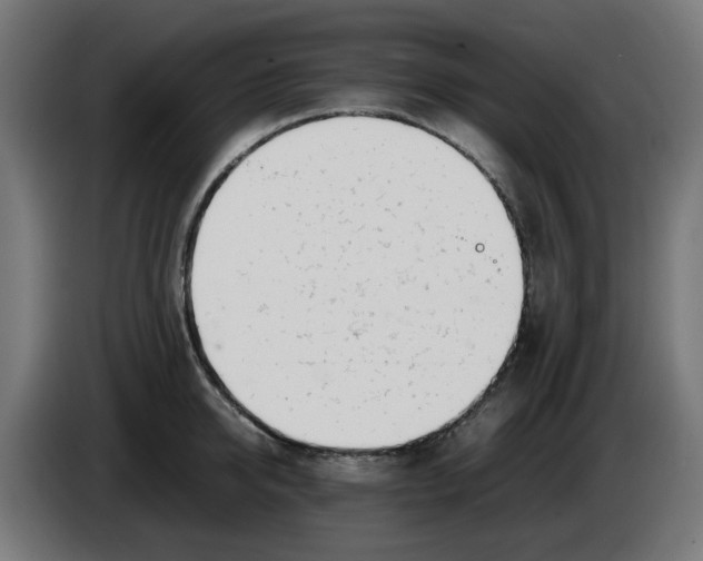 X0000086110950200704132206