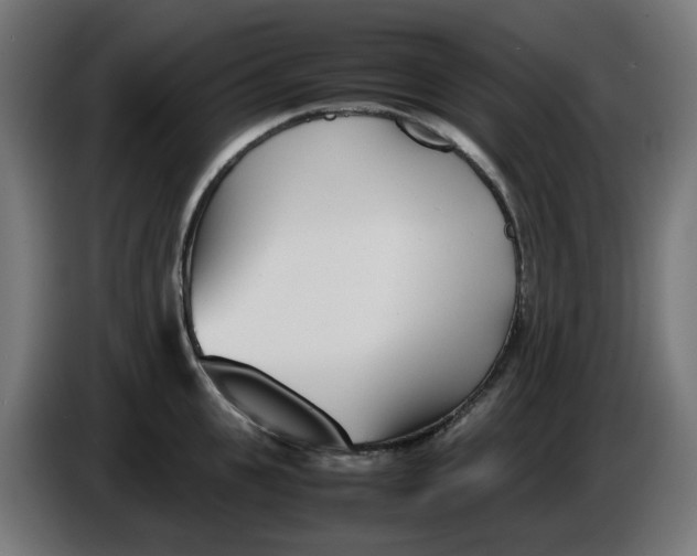 X0000086110951200704132206