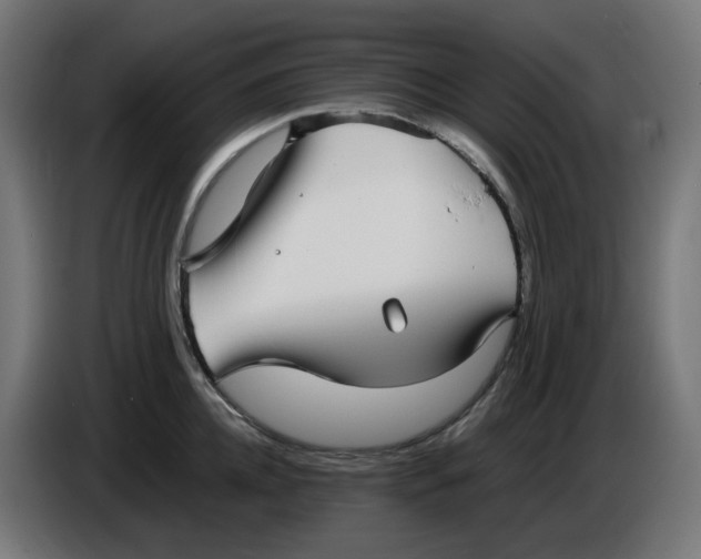 X0000086110952200704132206