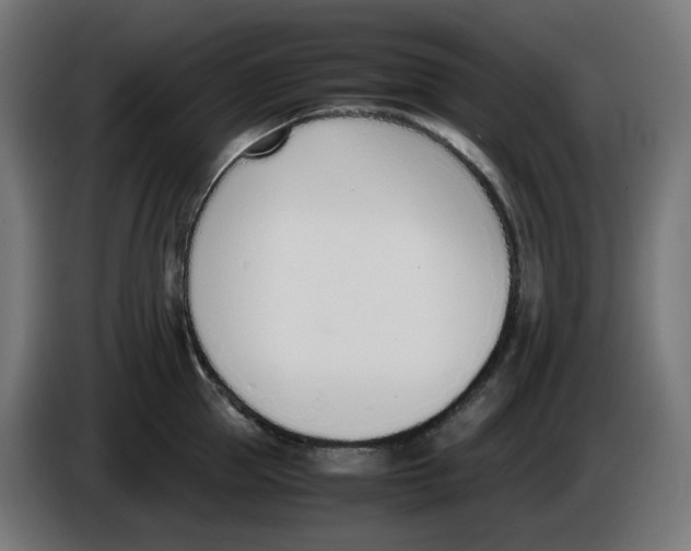 X0000086110953200704132206