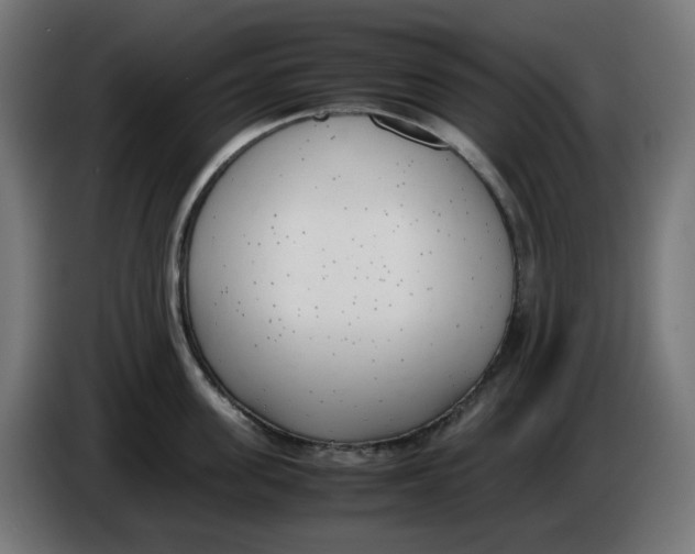 X0000086110955200704132206