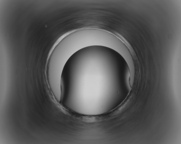 X0000086110956200704132206