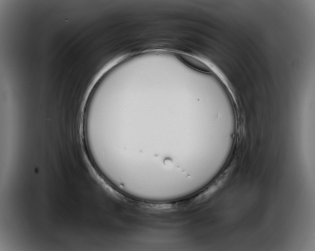 X0000086110957200704132206