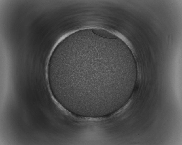 X0000086110958200704132206