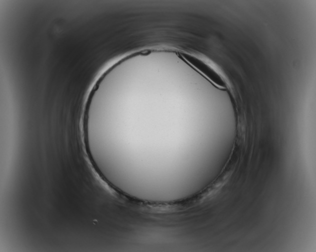 X0000086110959200704132206