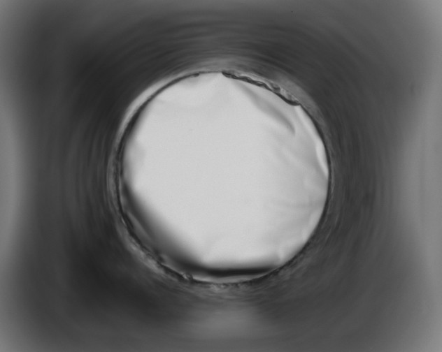 X0000086110960200704132206