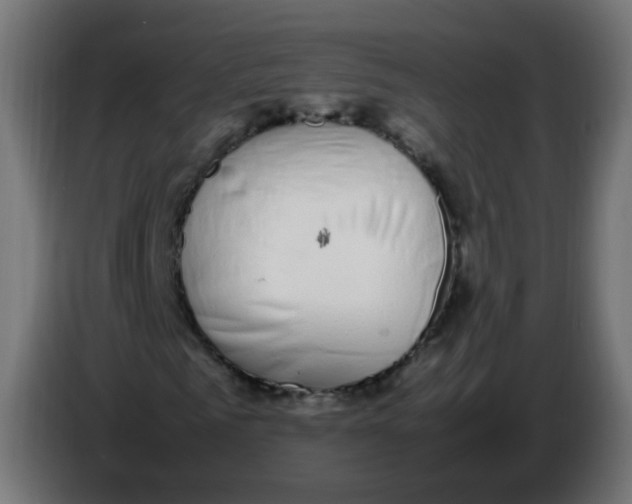 X0000086110961200704132205