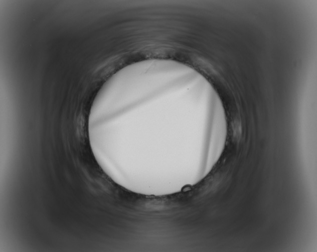 X0000086110964200704132205