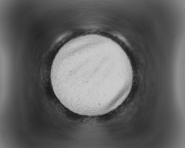 X0000086110967200704132205