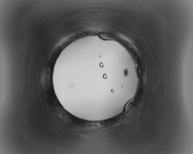 X0000086110968200704132205