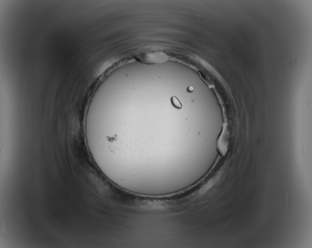 X0000086110969200704132205