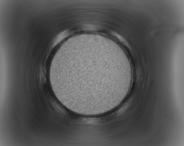 X0000086110970200704132205