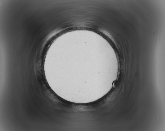 X0000086110971200704132205