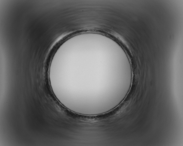 X0000086110975200704132205