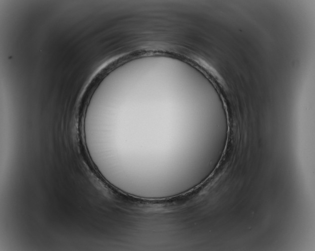 X0000086110976200704132205