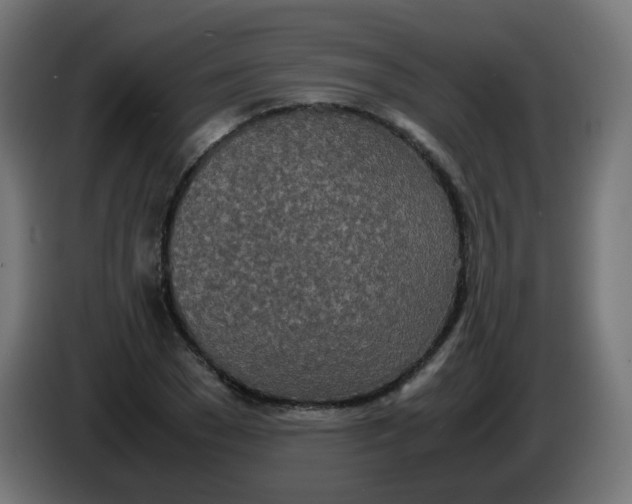 X0000086110977200704132205