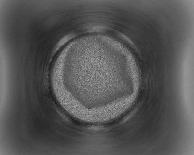 X0000086110978200704132205