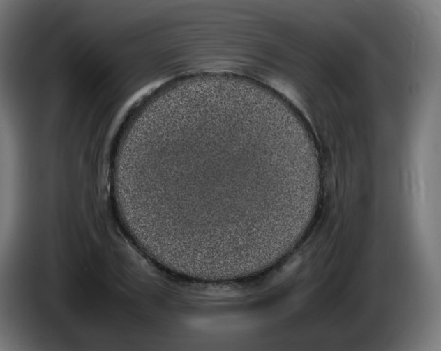 X0000086110979200704132205