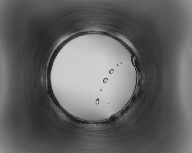 X0000086110980200704132205