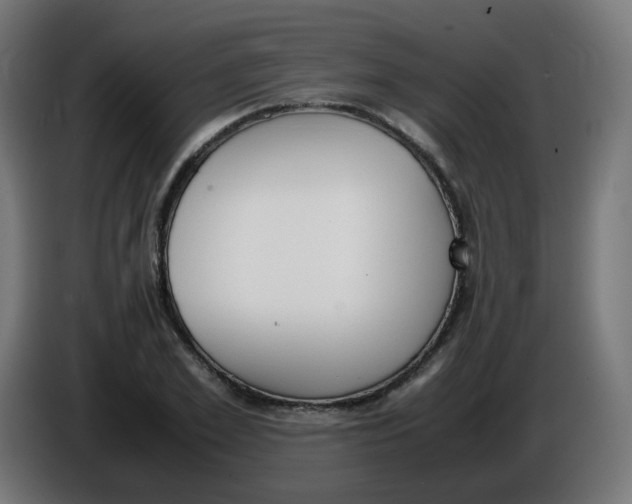 X0000086110981200704132205