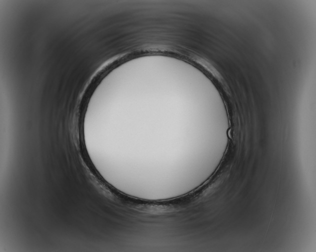 X0000086110984200704132205