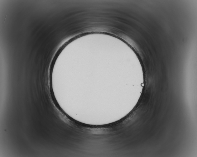 X0000086110988200704132205