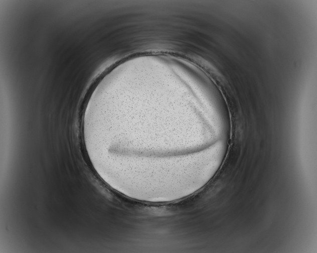 X0000086110990200704132205