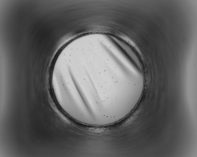 X0000086110991200704132205