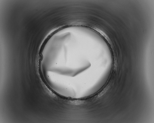 X0000086110992200704132205