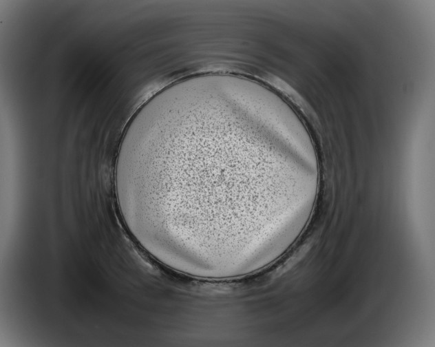 X0000086110993200704132205