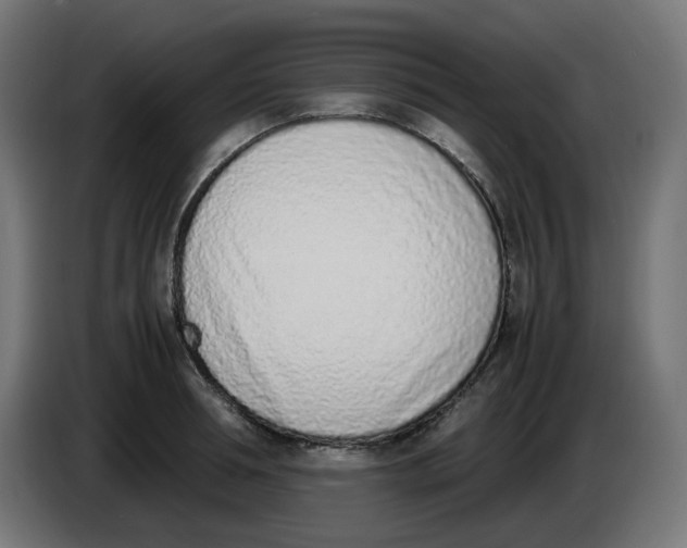 X0000086110994200704132205