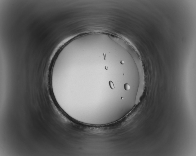 X0000086110995200704132205