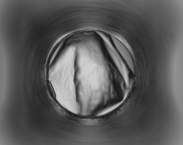 X0000086110996200704132205