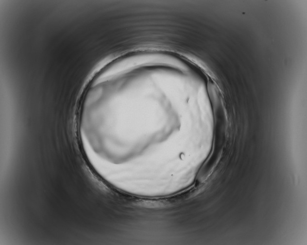 X0000086110998200704132205