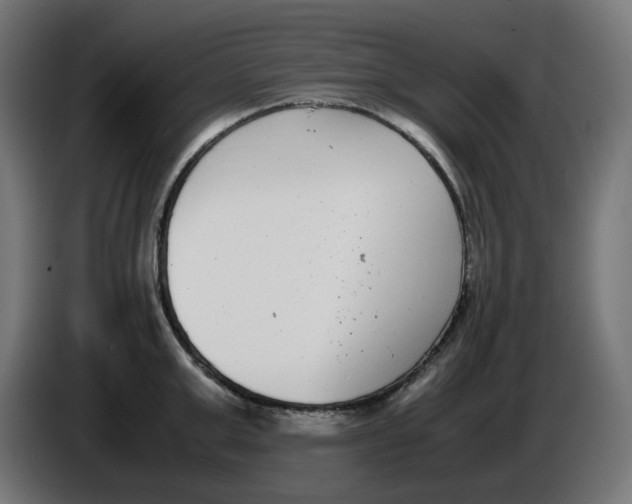 X0000086110999200704132205