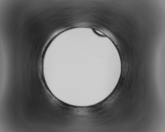 X0000086111000200704132205