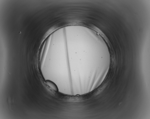 X0000086111002200704132205