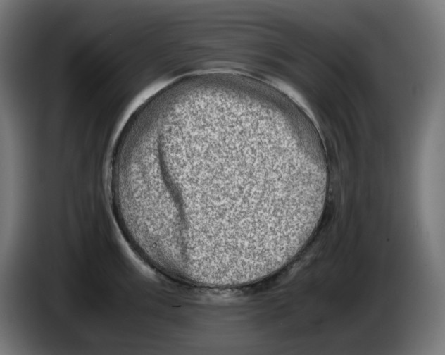 X0000086111003200704132205