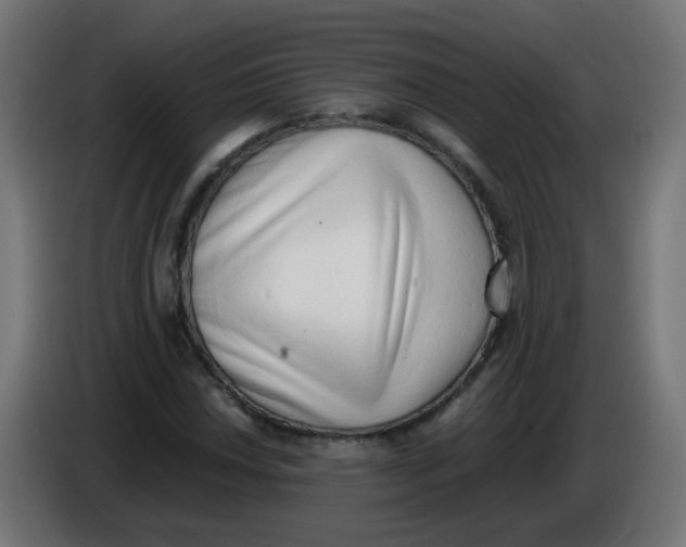 X0000086111018200704132204