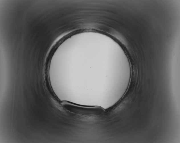 X0000086111020200704132204