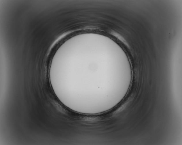 X0000086111021200704132204