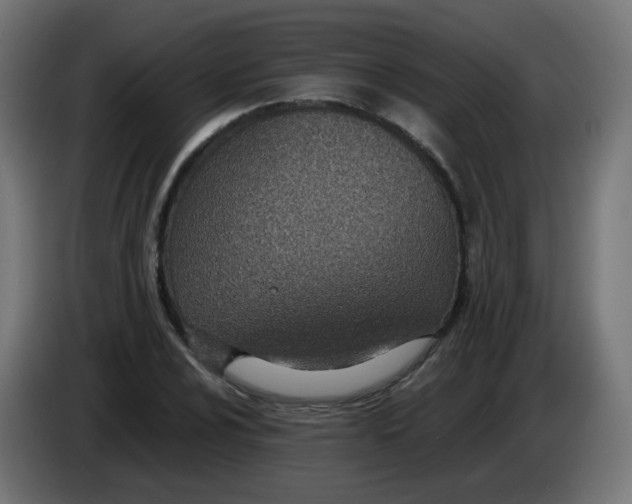 X0000086111024200704132204