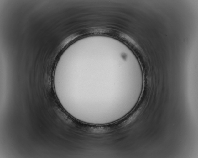 X0000086111025200704132204