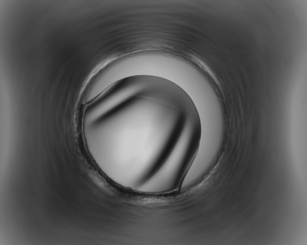 X0000086111026200704132204