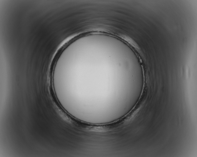 X0000086111028200704132204