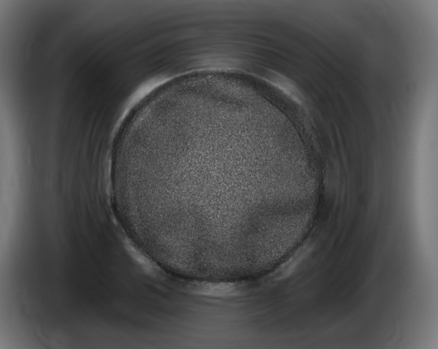 X0000086111030200704132204