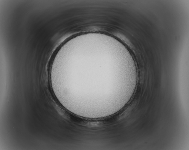 X0000086111031200704132204