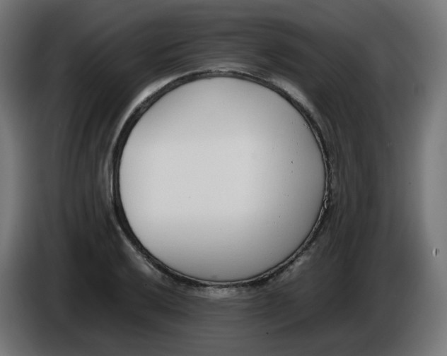 X0000086111032200704132204